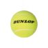 Palline da Tennis