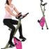 Cyclette con Schienale