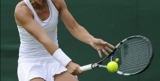 Polsino da Tennis