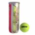 Palline da Padel Wilson